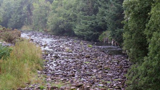 180823 birding at Garwnant (3)