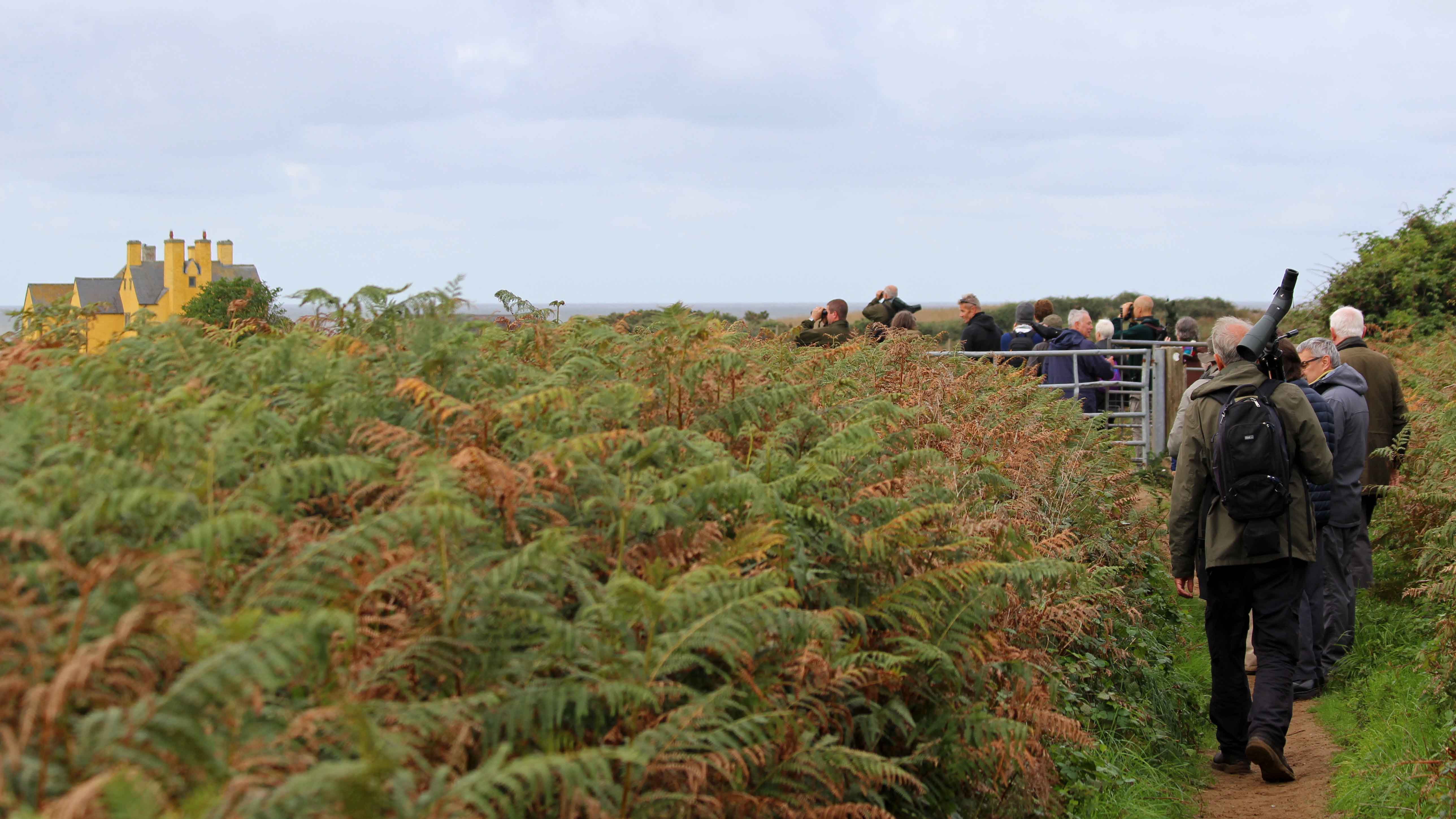 180917 birding at Kenfig (2)