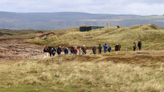 180917 birding at Kenfig (9)