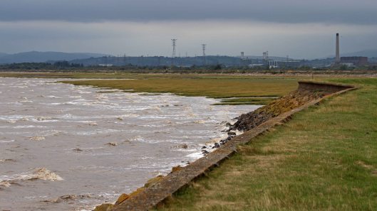 180918 birding goldcliff (7)