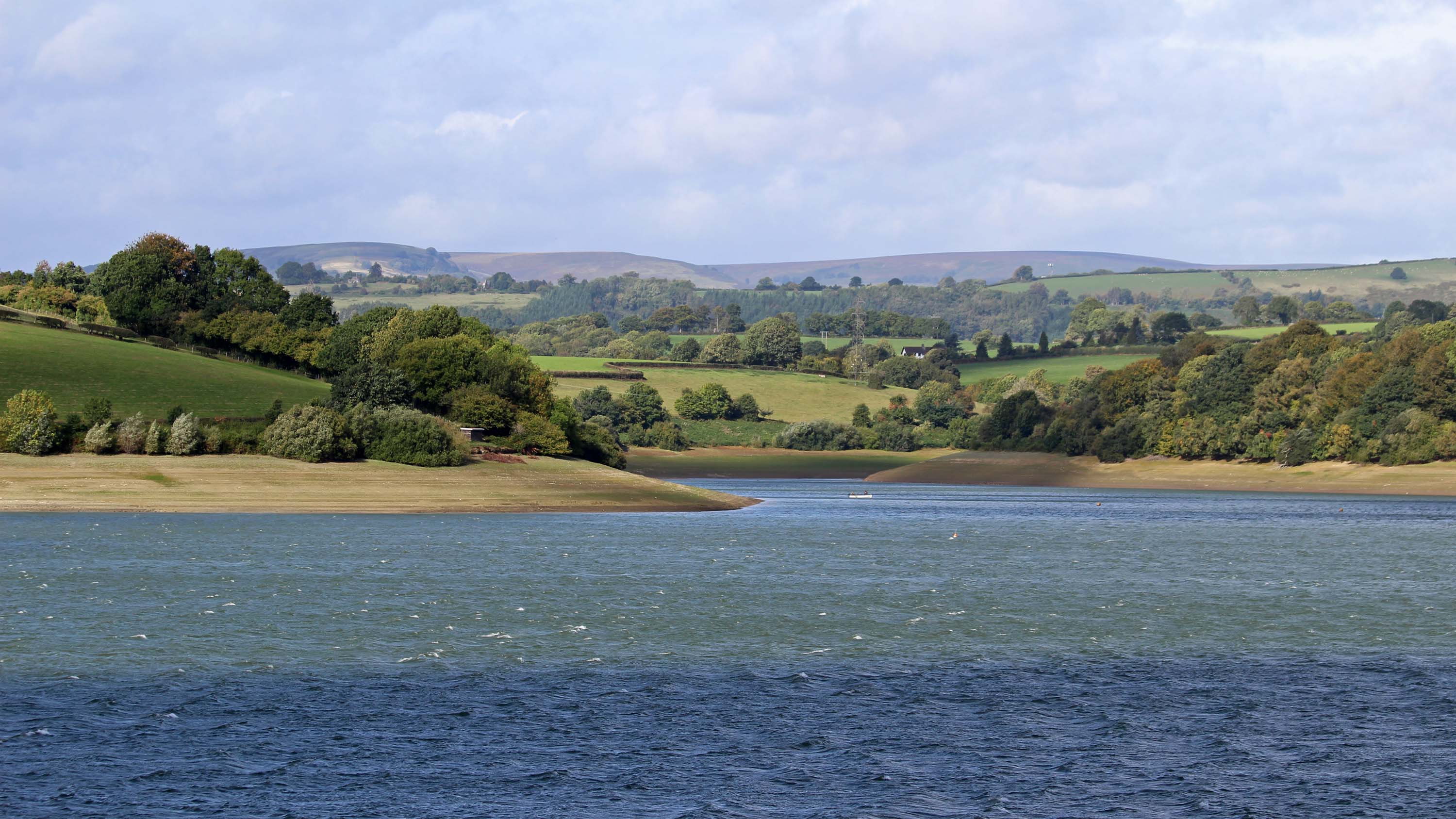 180920 birding Llandegfedd (1)