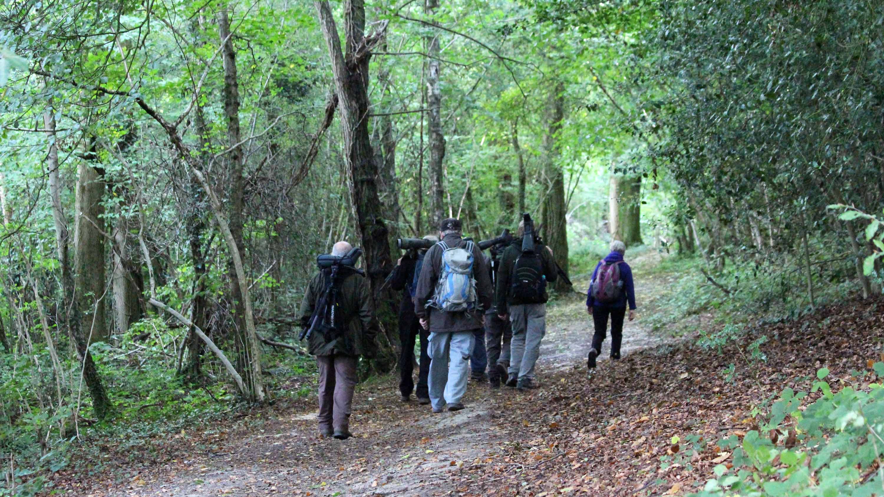 180920 birding Llandegfedd (2)
