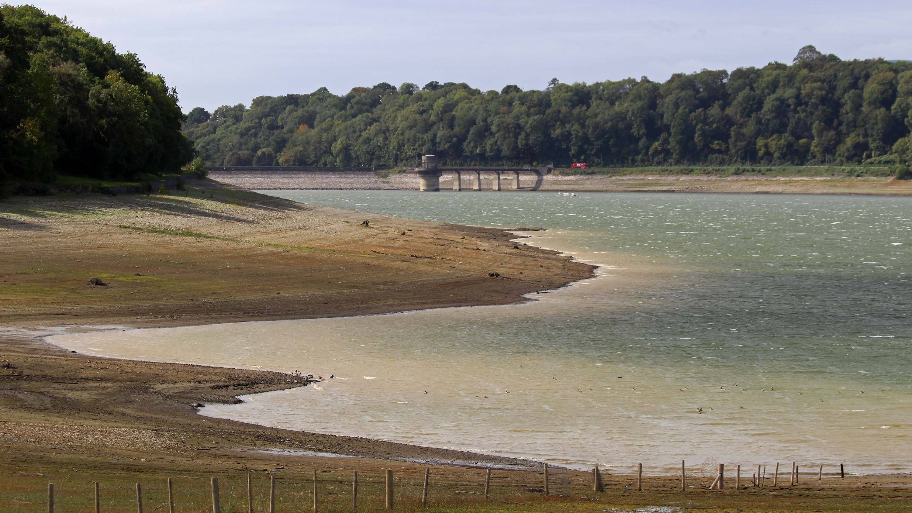 180920 birding Llandegfedd (3)