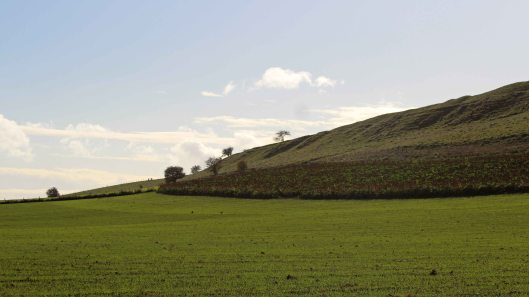 181029 birding at maiden castle (1)