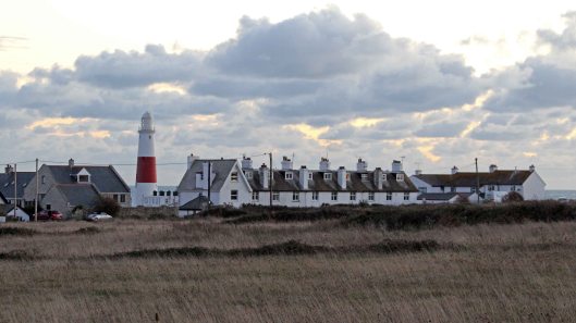 181101 birding Portland (2)