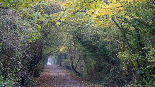 181111 Cosmeston colour (1)