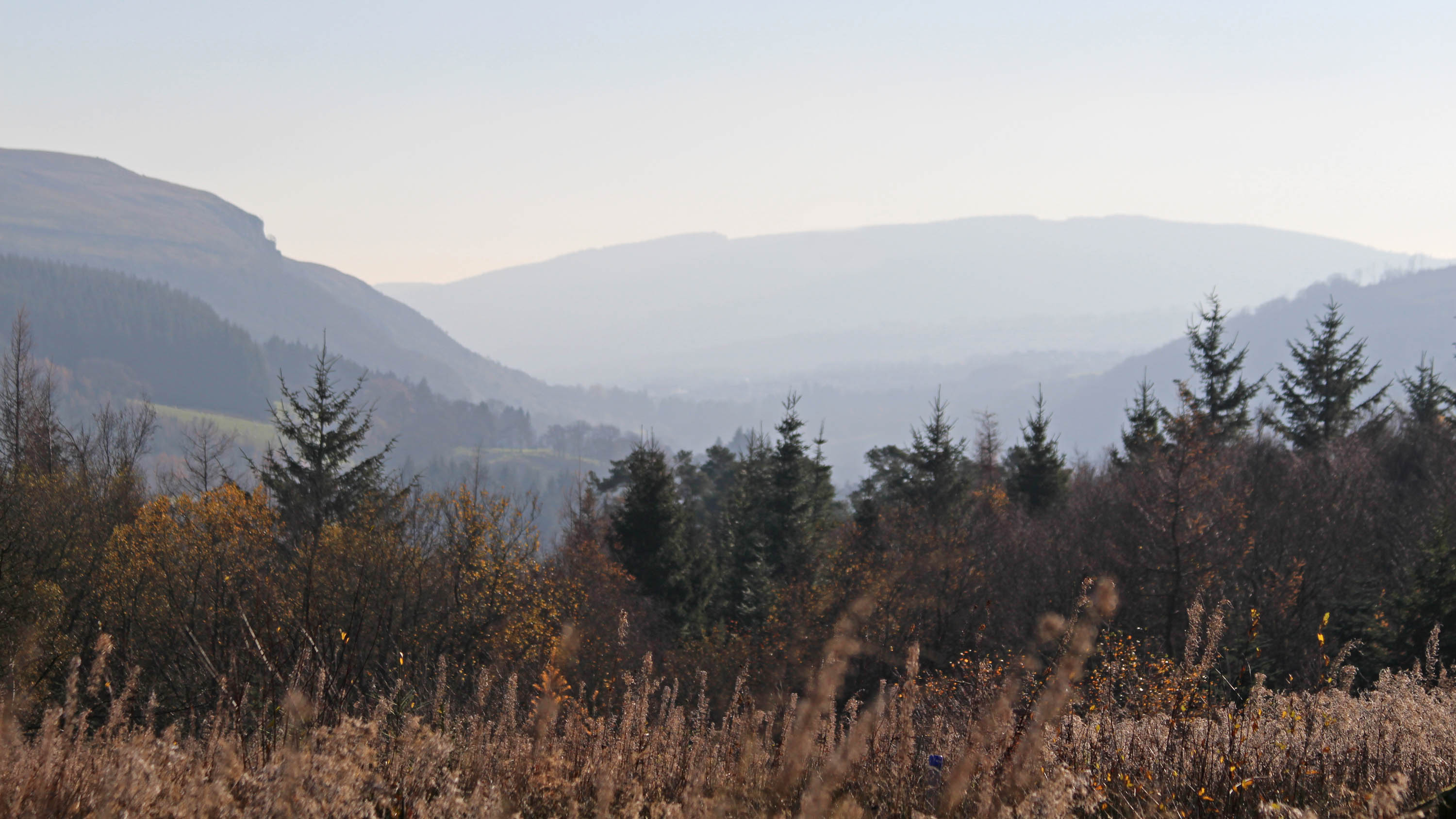 181119 birding at garwnant and rhaslas (1)