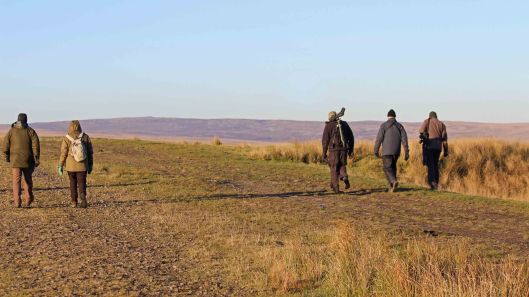 181119 birding at garwnant and rhaslas (9)