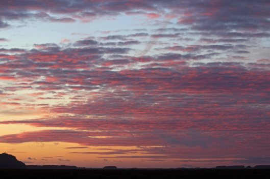 190113 llanrhidian marsh sunset
