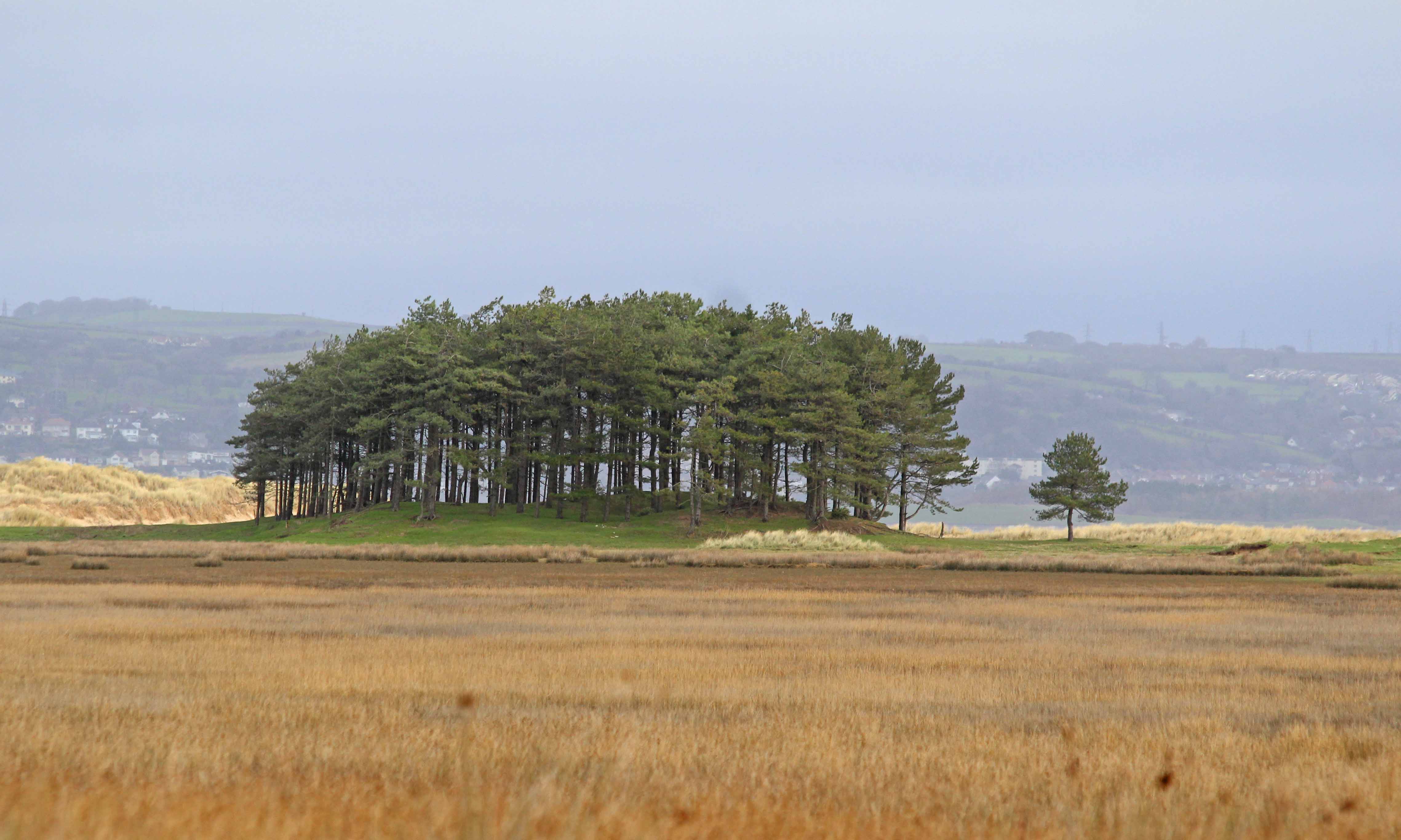 190114 (2) whiteford point