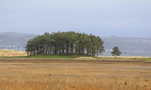 190114 (2) whiteford point