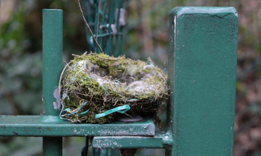 190114 nest of rubbish (1)