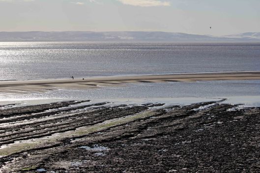 190202 lunchtime view