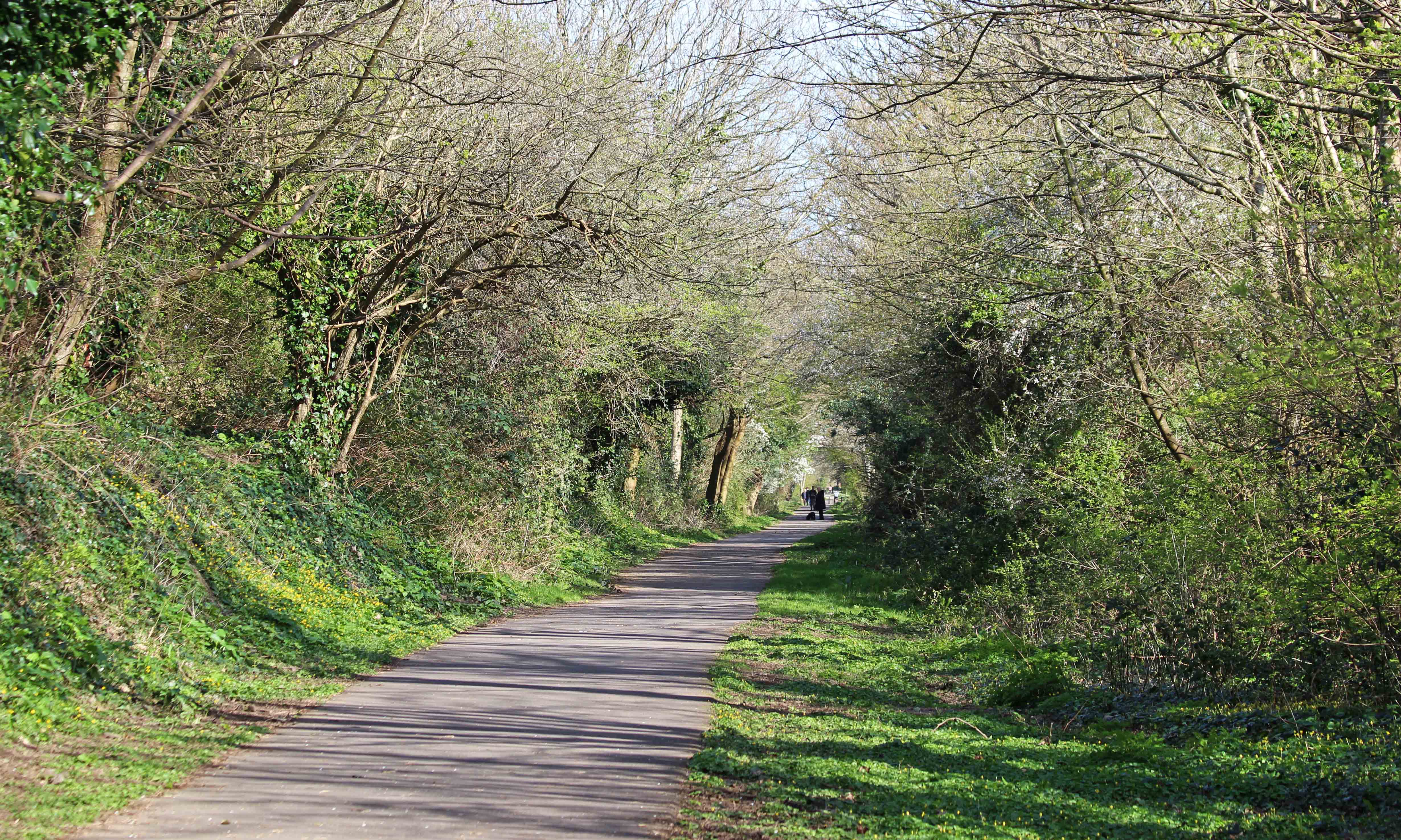 190326 (1) rail trail