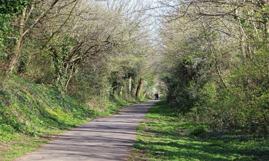 190326 (1) rail trail