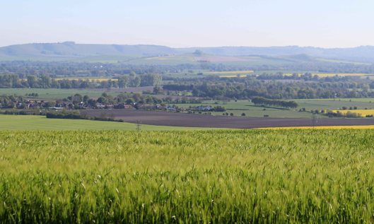 190513 Salisbury (1)