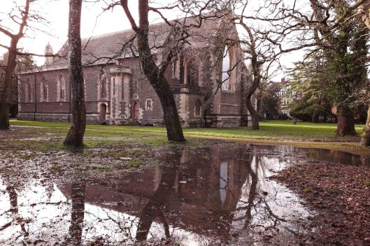 200216 reflections after rain (2)