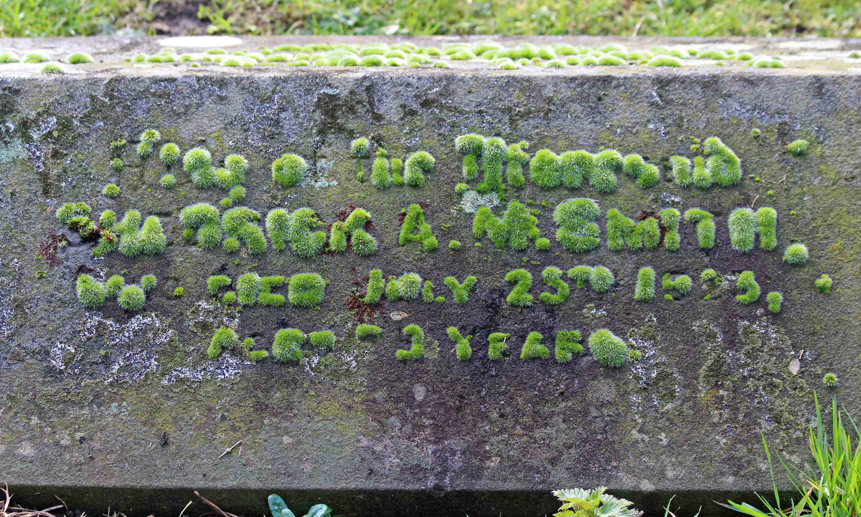 210227 mossy gravestone (1)