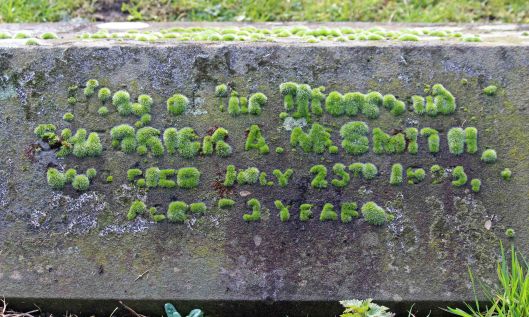 210227 mossy gravestone (1)