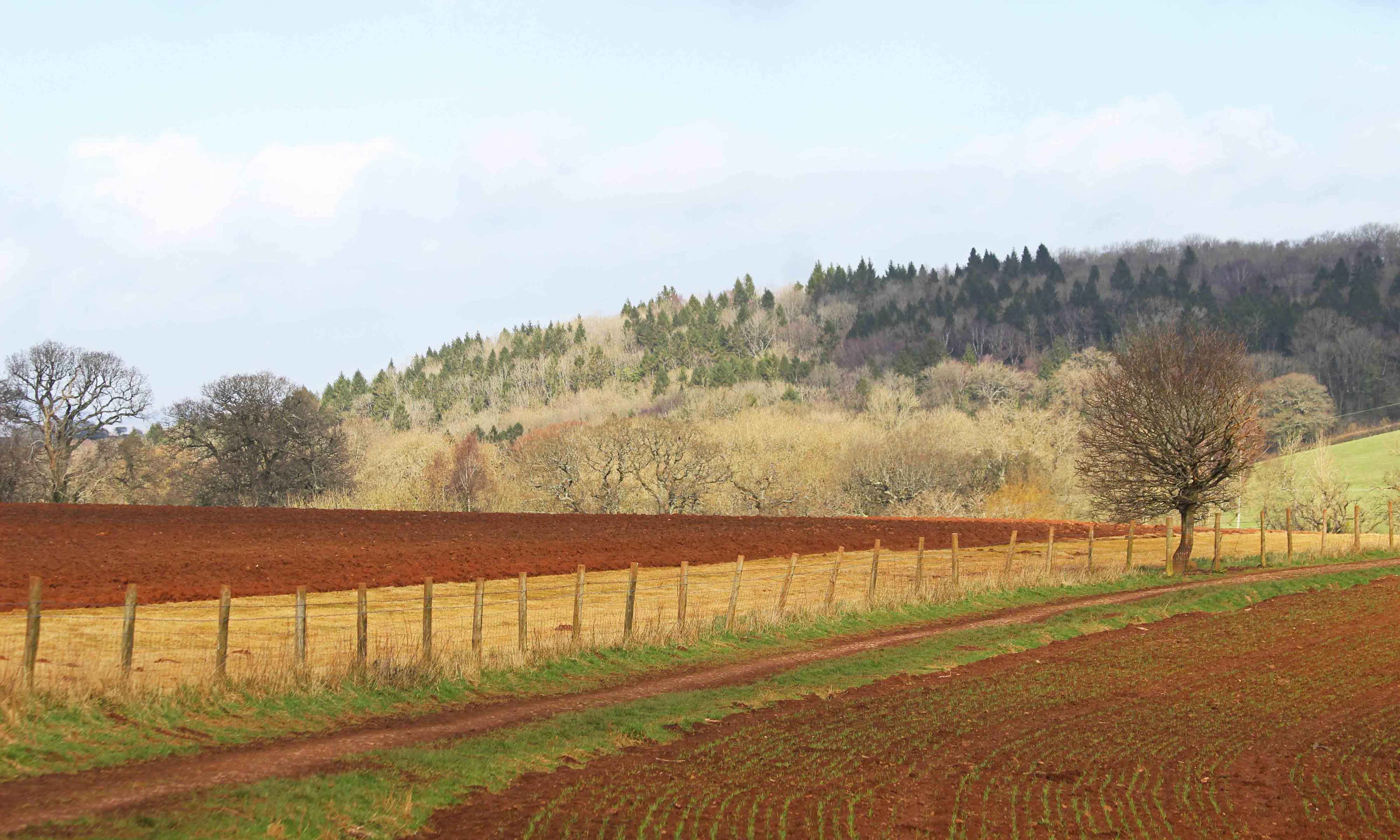 210311 landscapes (1)