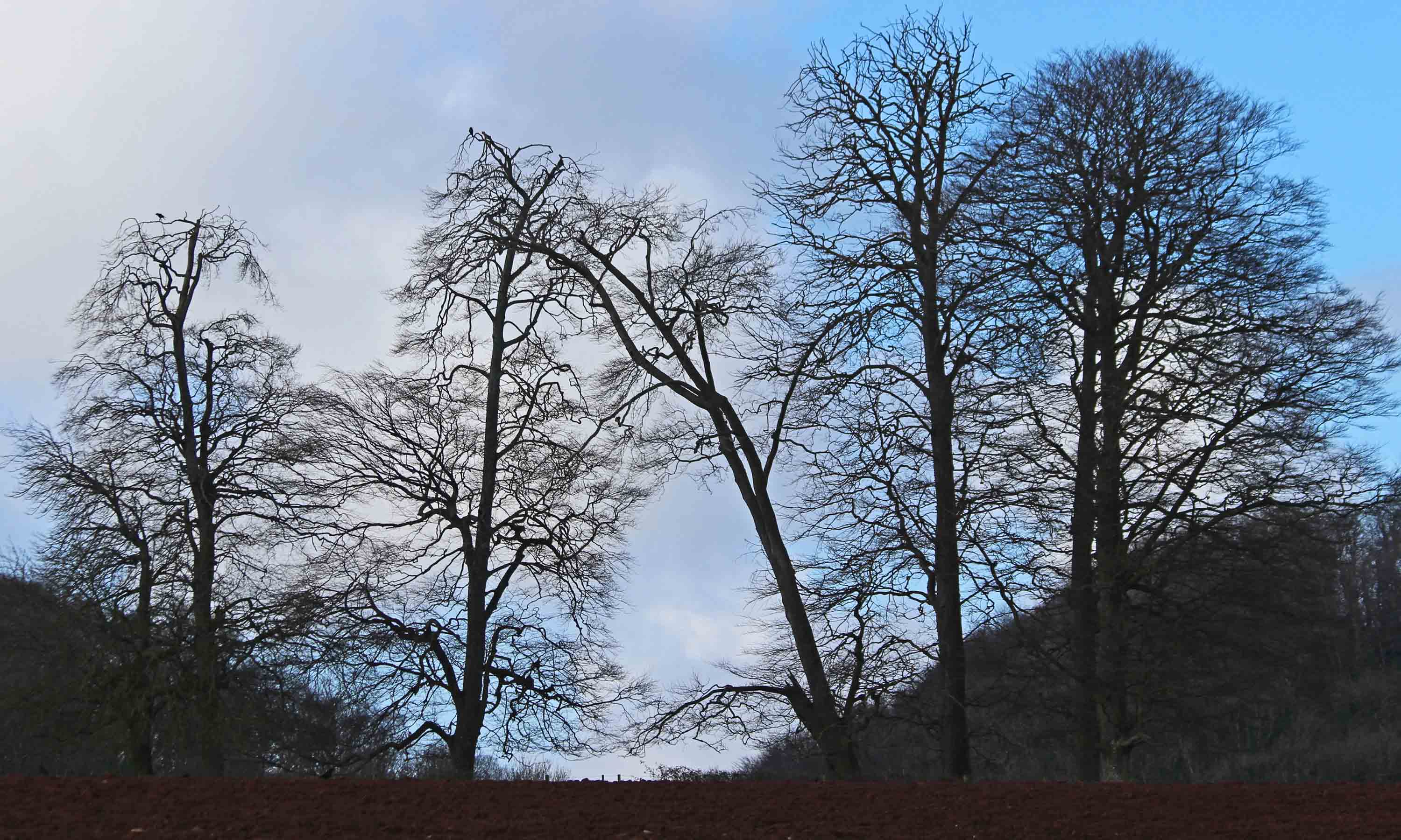 210311 landscapes (2)