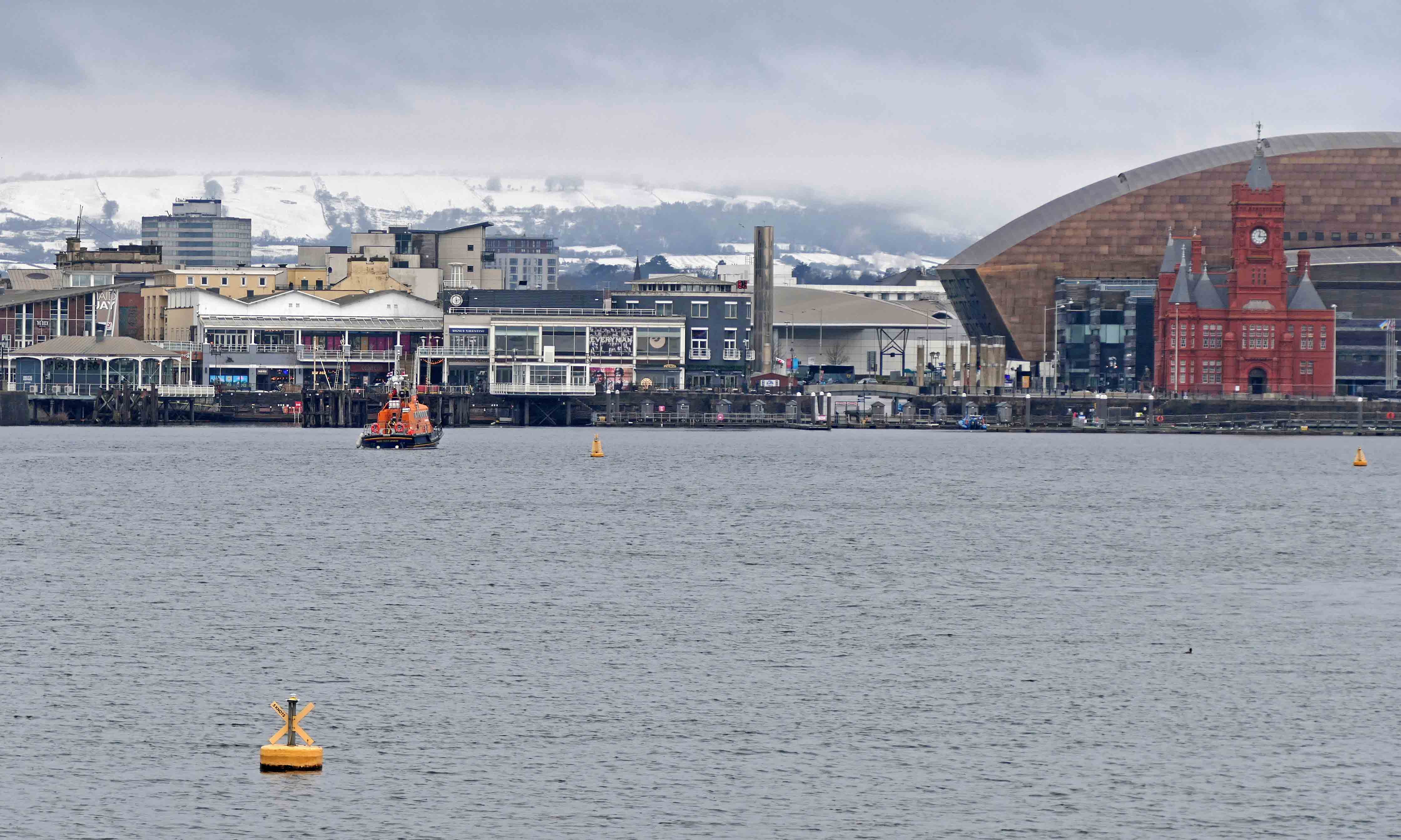 230309 skylarks and snow (1)