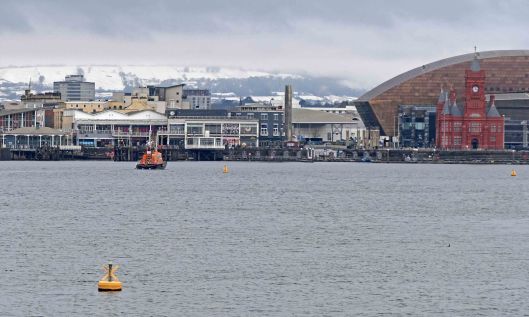 230309 skylarks and snow (1)