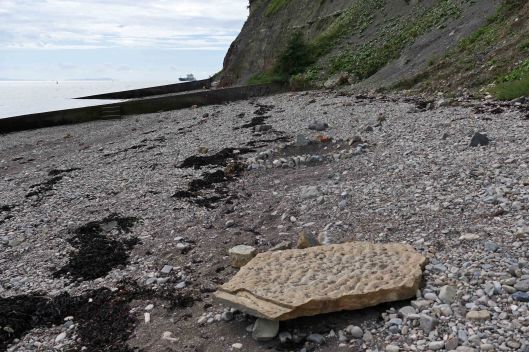 230830 fossilised ripples (2)