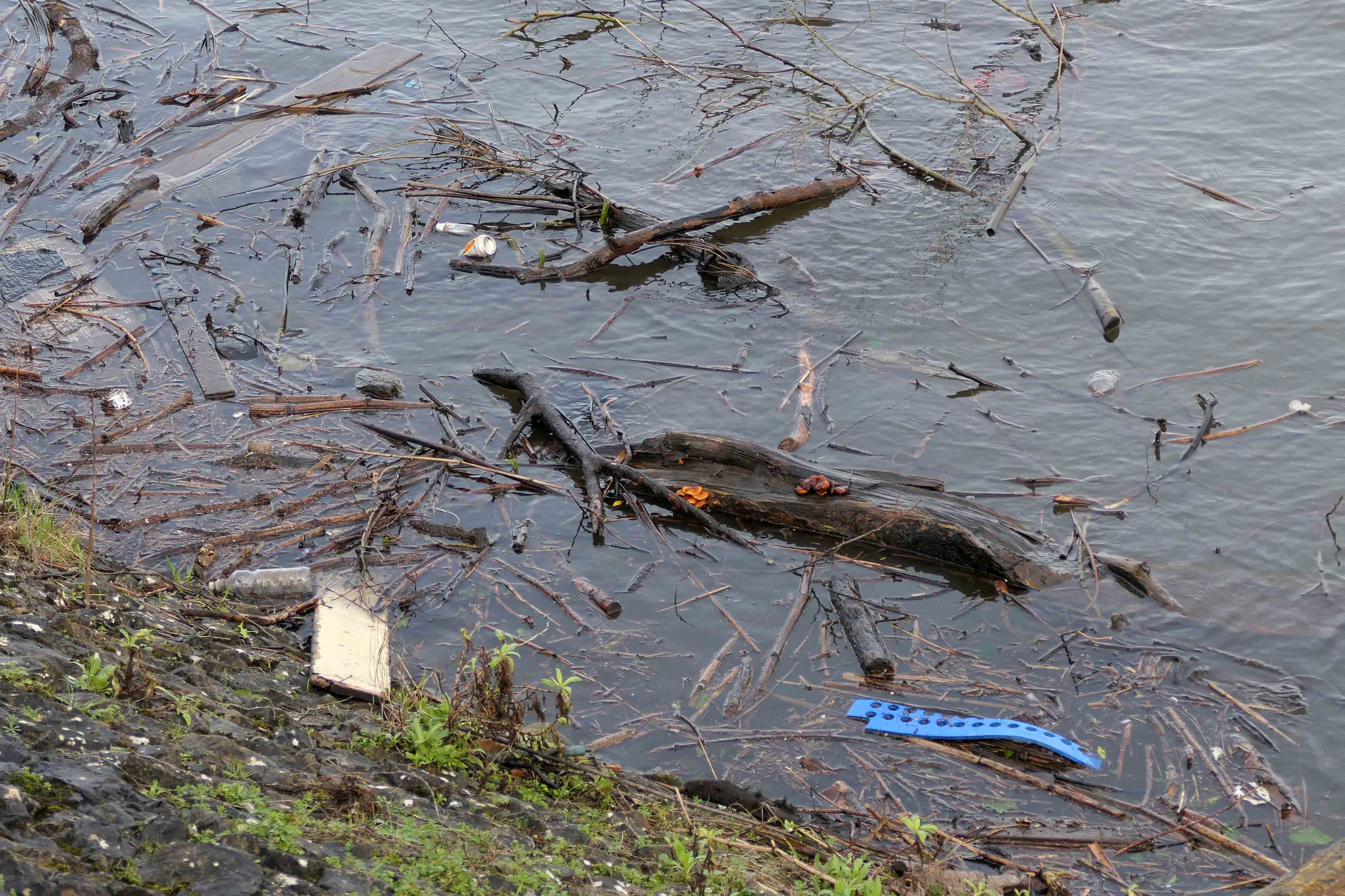 240223 velvet shanks (1)