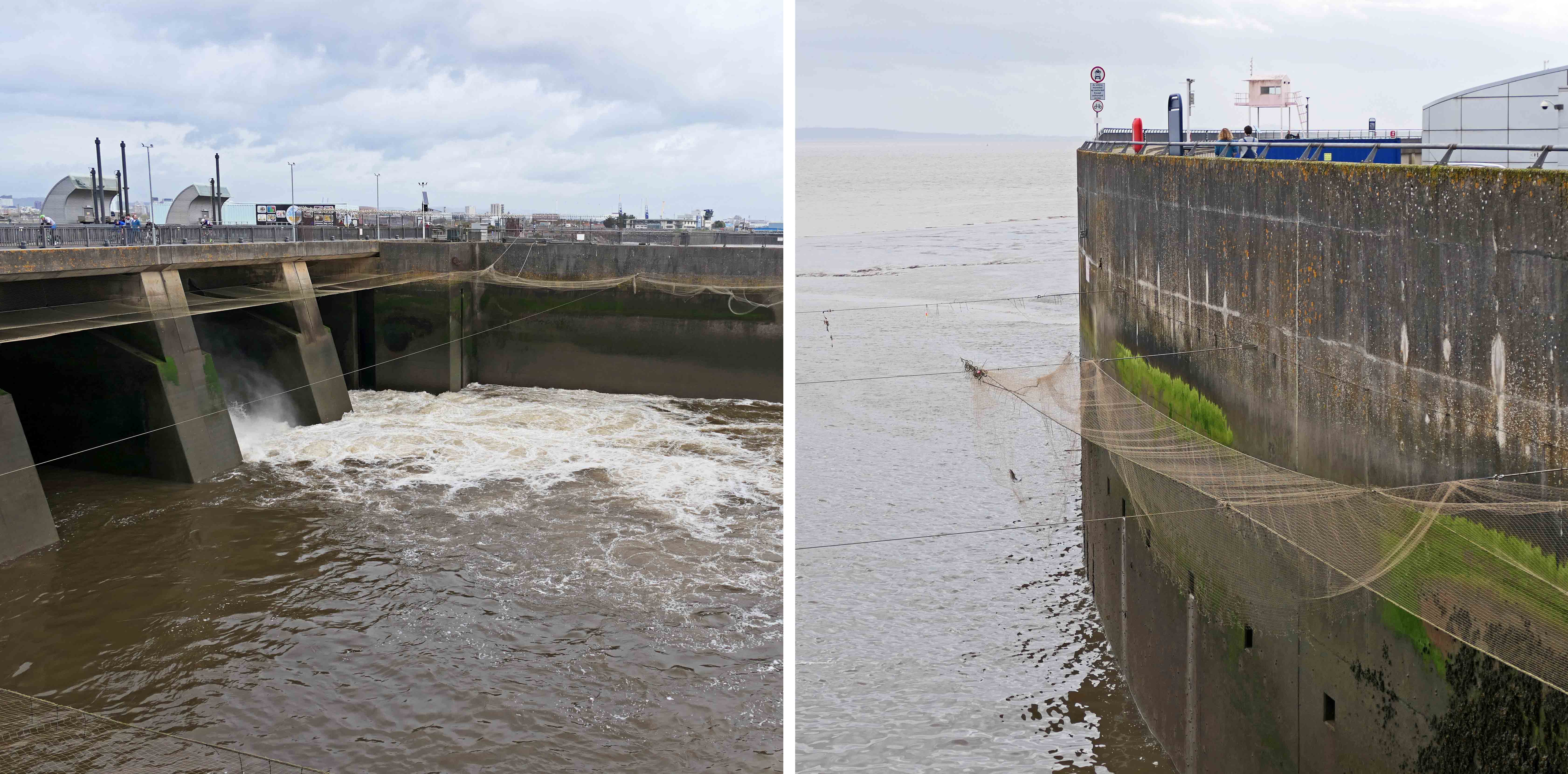 240406 barrage fish (1)