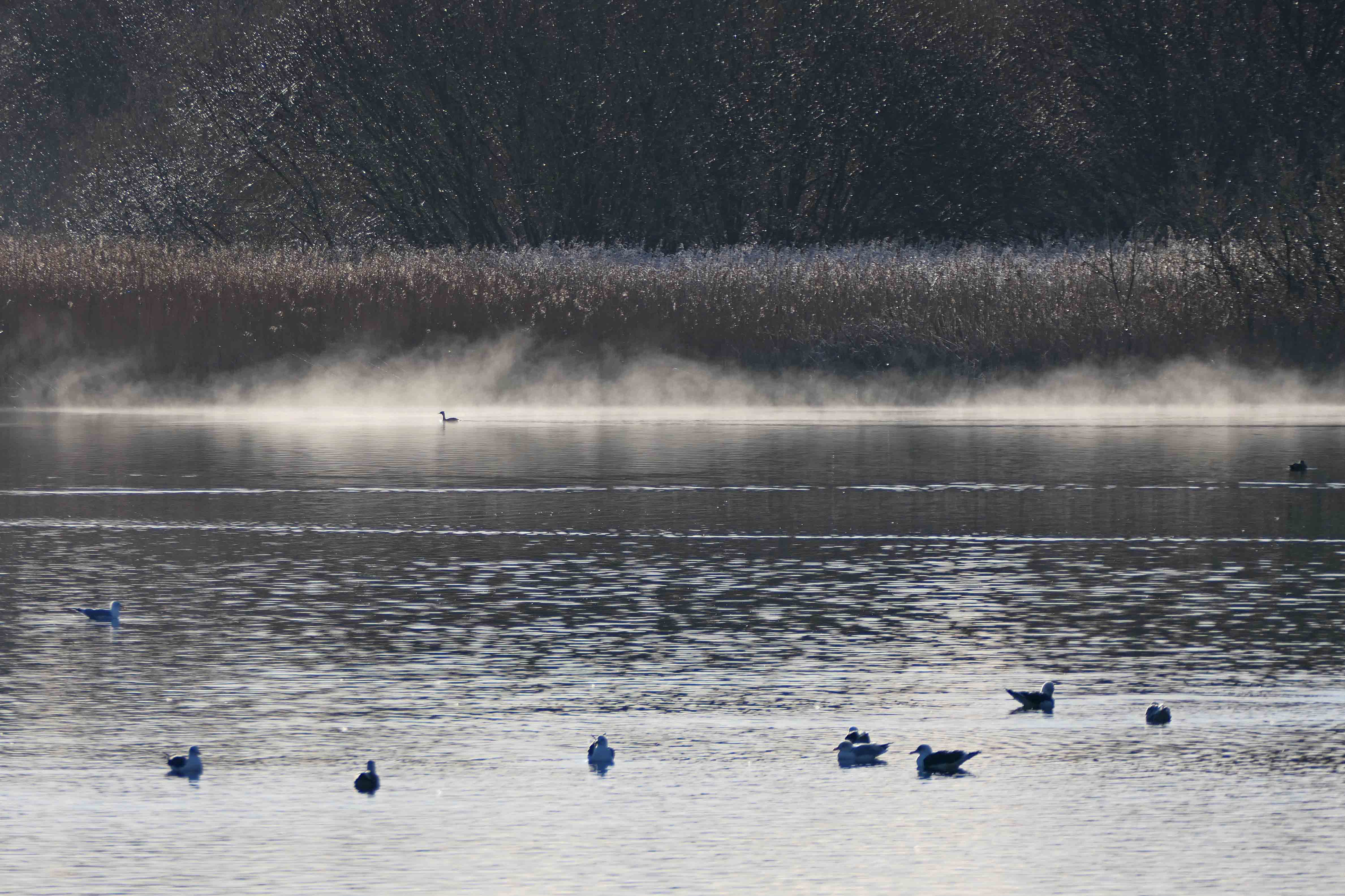 250114 cold weather (1)