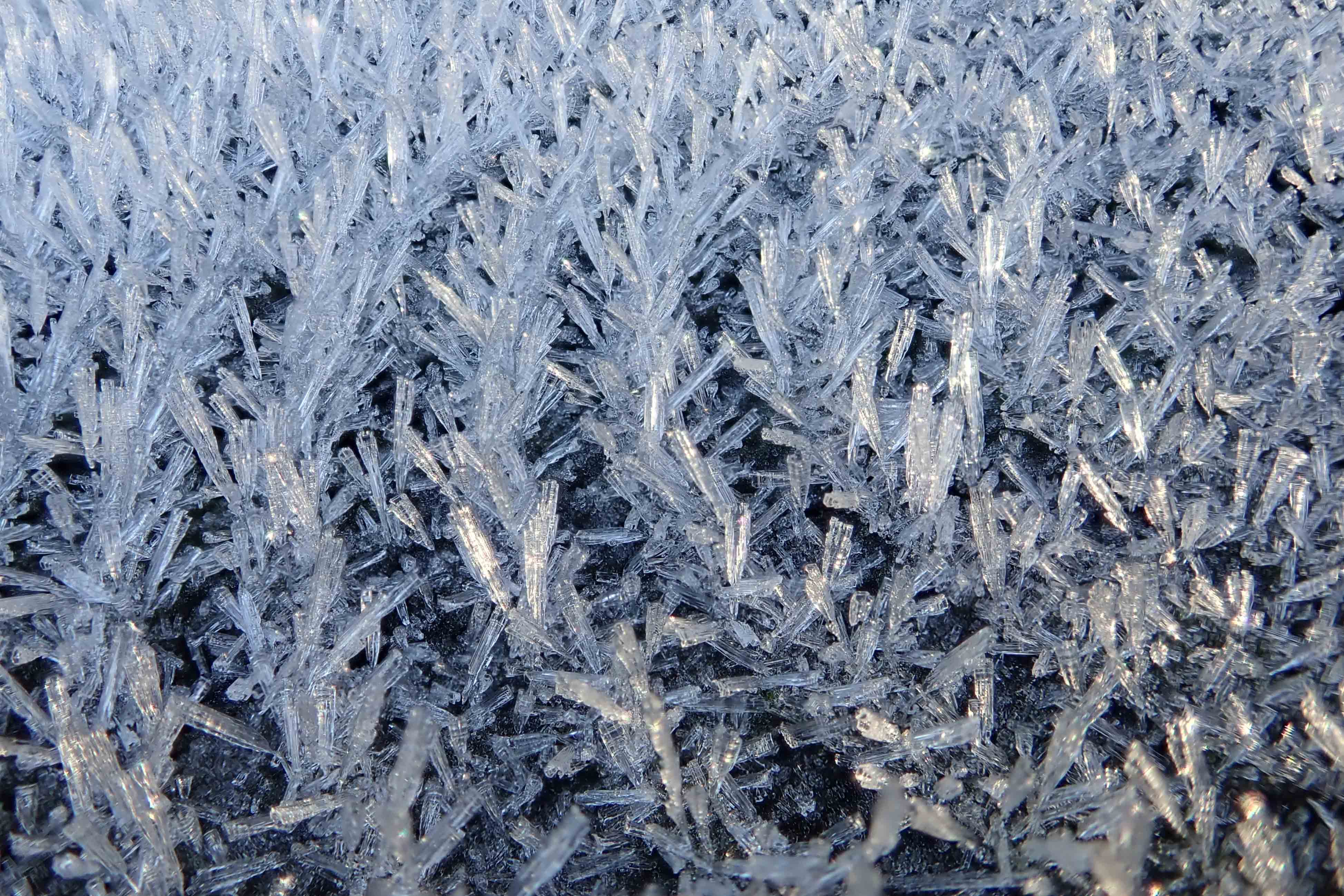 250114 cold weather (2)